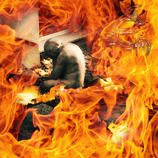 Eldkling : Forever Changed